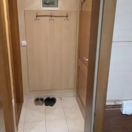 公寓 Dinic 兹拉蒂博尔